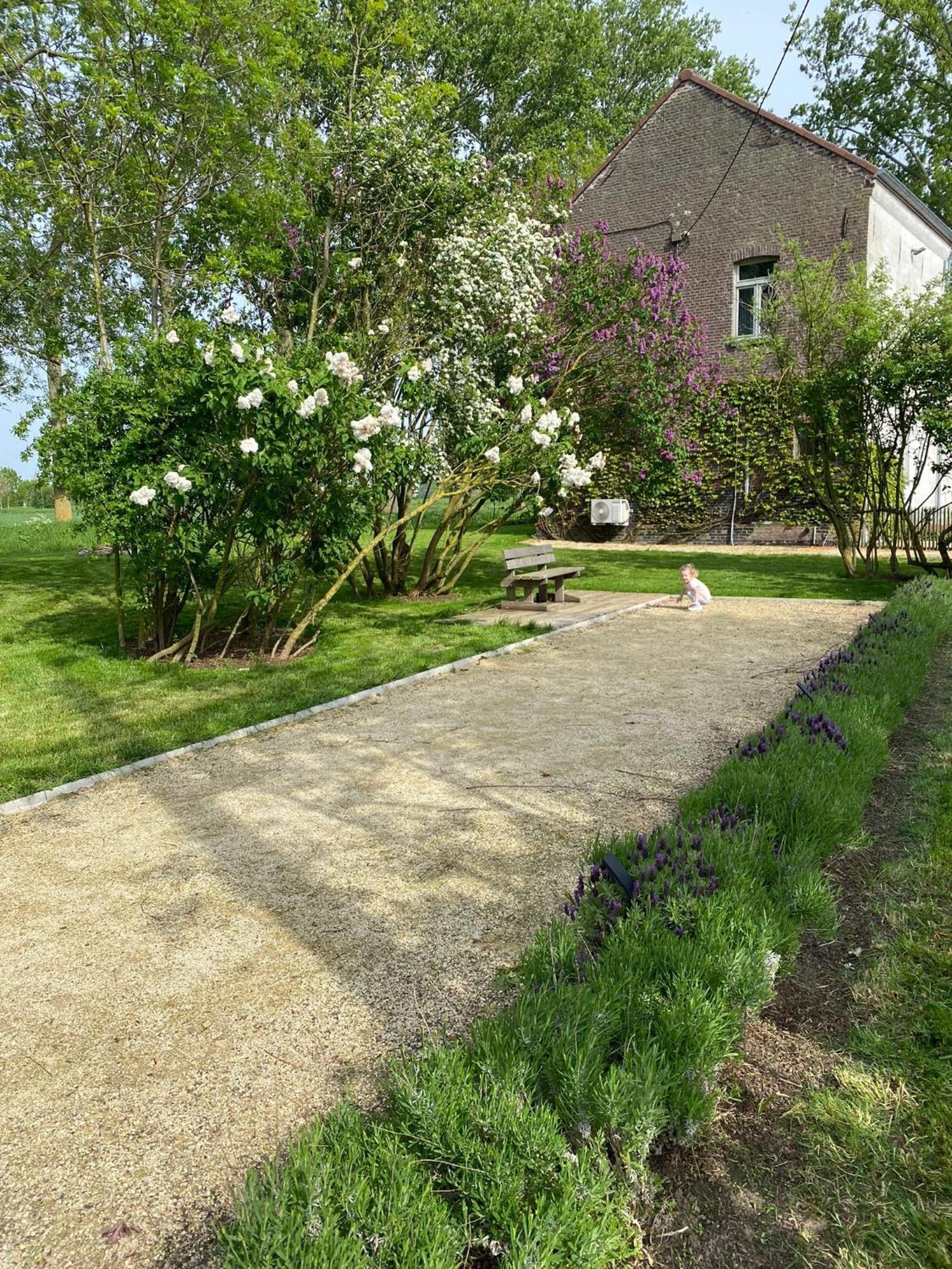 Huisje Aan De Schelde Spiere 外观 照片